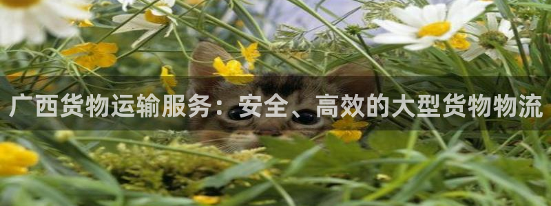 welcometo欢迎光临888集团