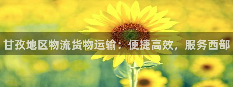 888游戏中心官方网站