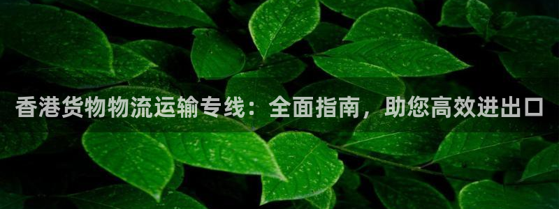 888集团官网登录